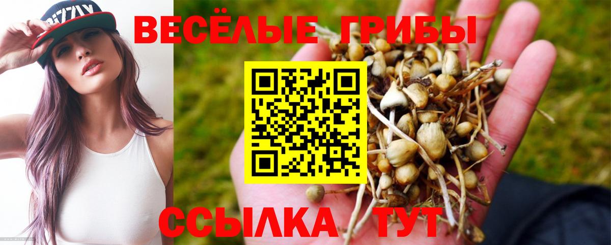 Галлюциногенные грибы Cubensis Губкинский
