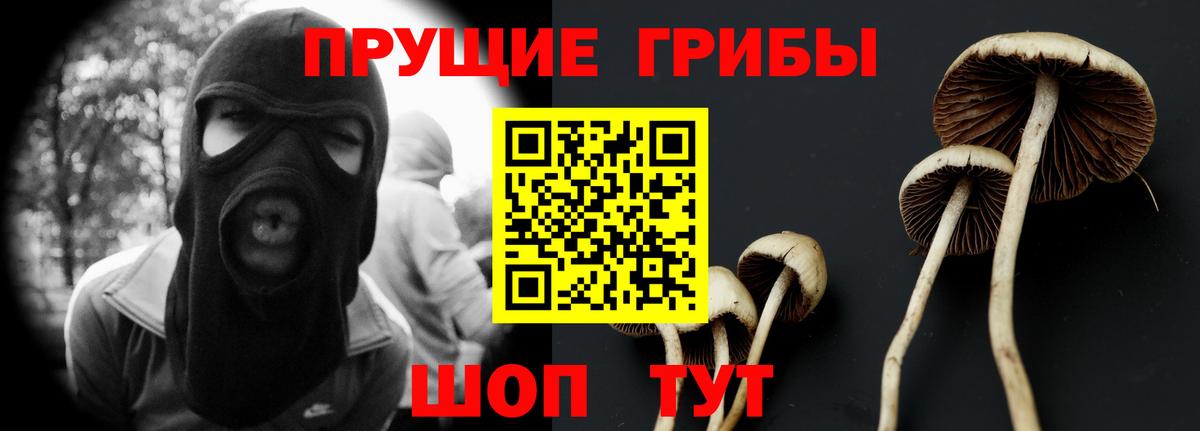 Псилоцибиновые грибы Psilocybine cubensis  как найти закладки  Галлюциногенные грибы Cubensis  Губкинский  Вход с VPN 